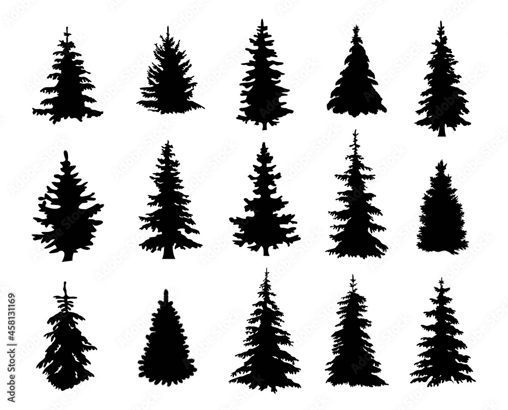 Silhouettes of realistic pine trees - obrazy, fototapety, plakaty 