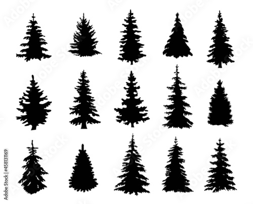 Fényképezés Silhouettes of realistic pine trees