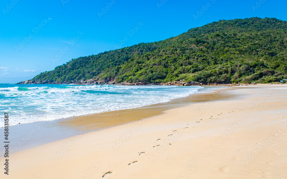 vento forte movendo a  areia na Praia Brava Florianopolis Santa Catarina Brasil Florianópolis