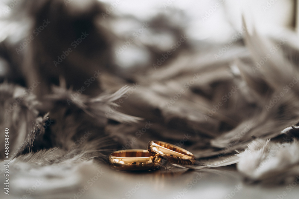 Fototapeta premium Wedding ring. Love concept. Ring. 