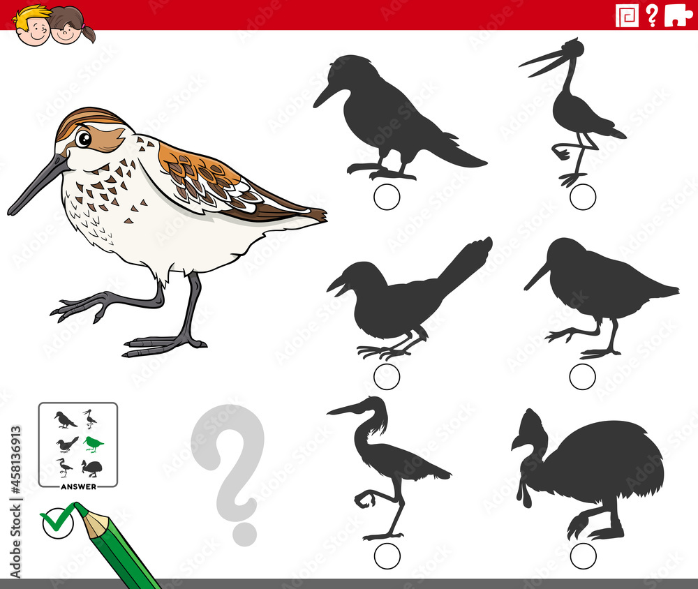 Obraz premium shadows game with cartoon western sandpiper bird