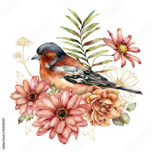 Watercolor autumn composition of gold aster, rose and chaffinch. Hand painted meadow linear flowers and bird isolated on white background. Floral illustration for design, print, fabric or background. © yuliya_derbisheva