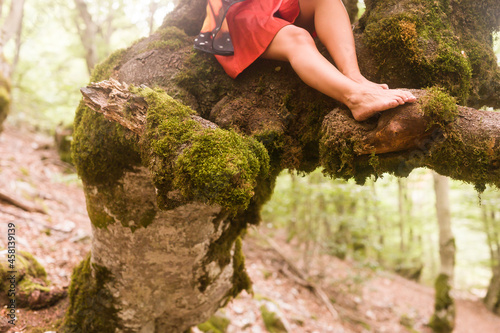 Photos Samahin nature forest dryad mythology origin to Halloween by celtics