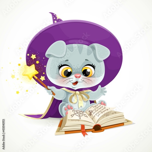 Cute cartoon baby cat in the wizard's hat and cloak reads a book of spells isolated on white background