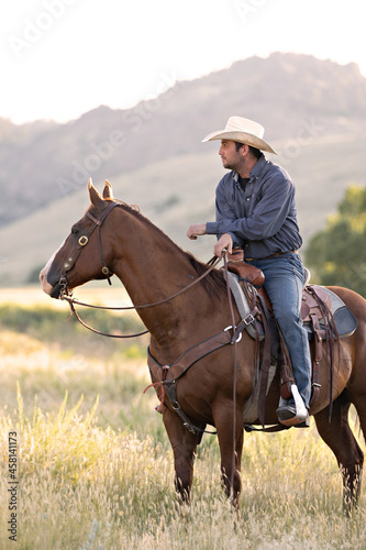 Cowboy and Horse