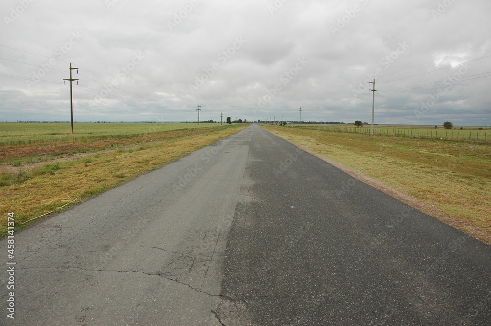Fototapeta premium Golden wheat fields