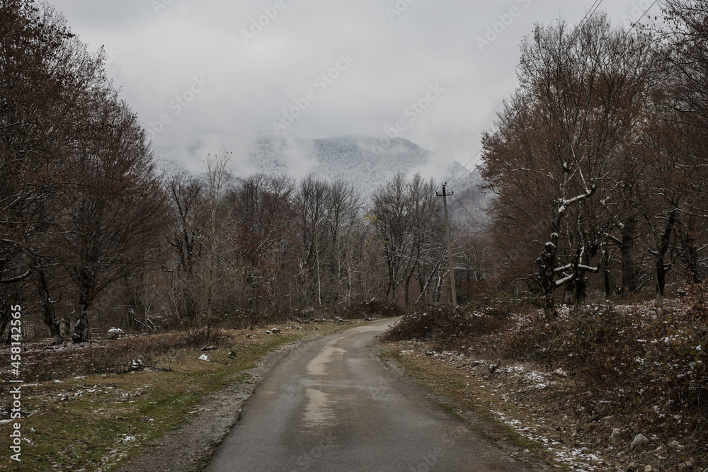 Obraz premium Landscape with beautiful fog in forest on hill or Trail through a mysterious winter forest with autumn leaves on the ground. Road through a winter forest. Magical atmosphere. Azerbaijan nature
