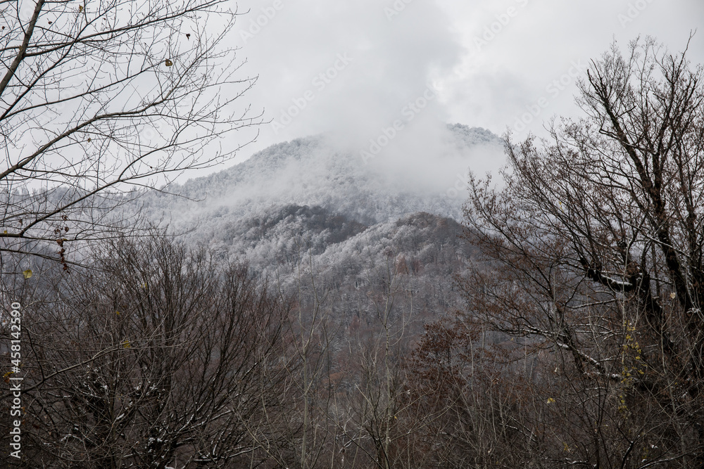 Winter trees in mountains covered with fresh snow. Beautiful landscape with branches of trees covered in snow. Mountain road in Caucasus. Azerbaijan Winter trees in mountains covered with fresh snow. Beautiful landscape with branches of trees covered in snow. Mountain road in Caucasus. Azerbaijan