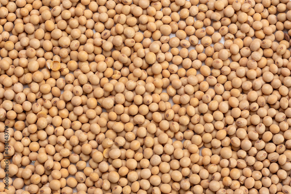 soybean seeds for a healthy diet soybean seeds for a healthy diet