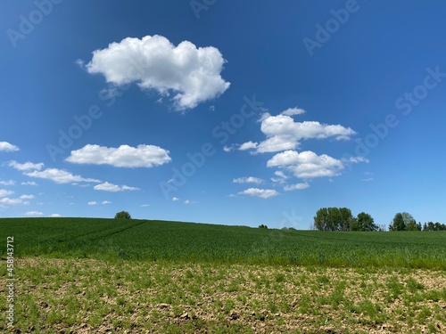 field and blue sky