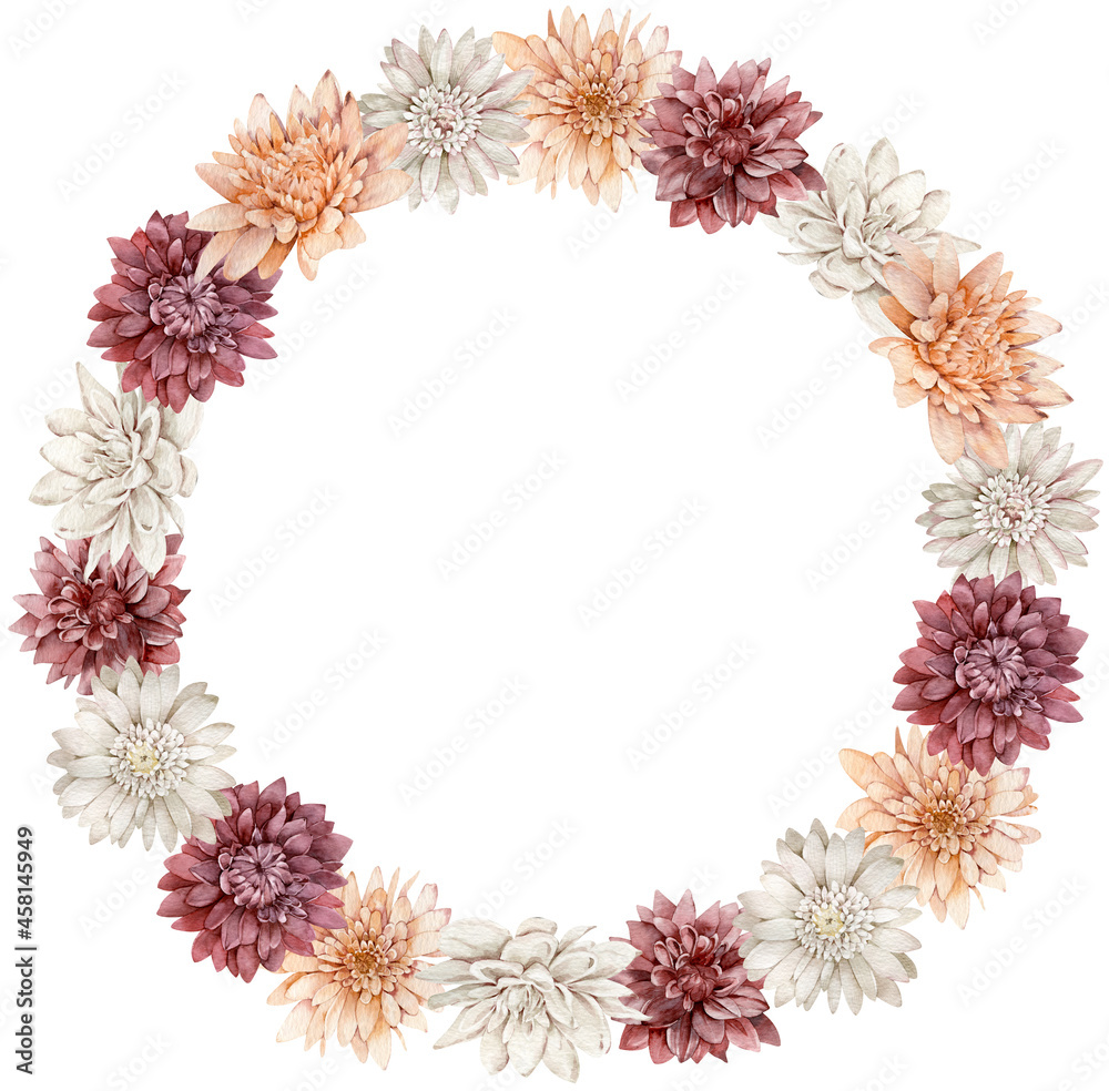 Watercolor crimson, white and orange asters wreath. Fall flowers circle frame. Autumn template isolated on the white background.