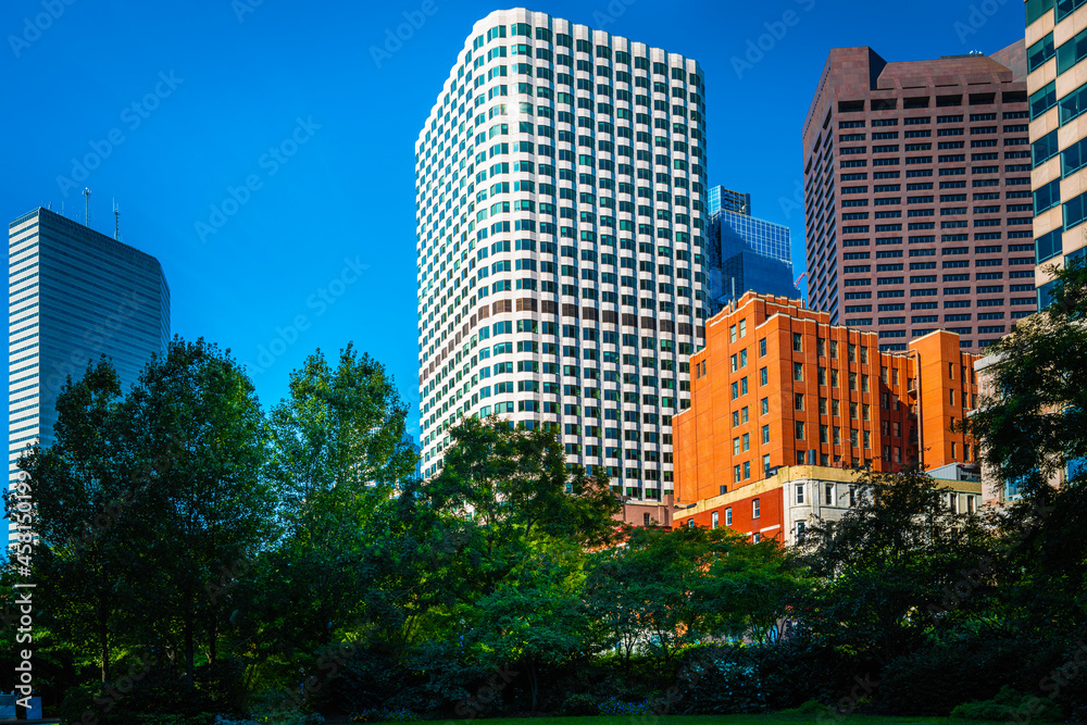 Boston cityscape with modern buildings rising high above green trees in the park on blue sky background Boston cityscape with modern buildings rising high above green trees in the park on blue sky background