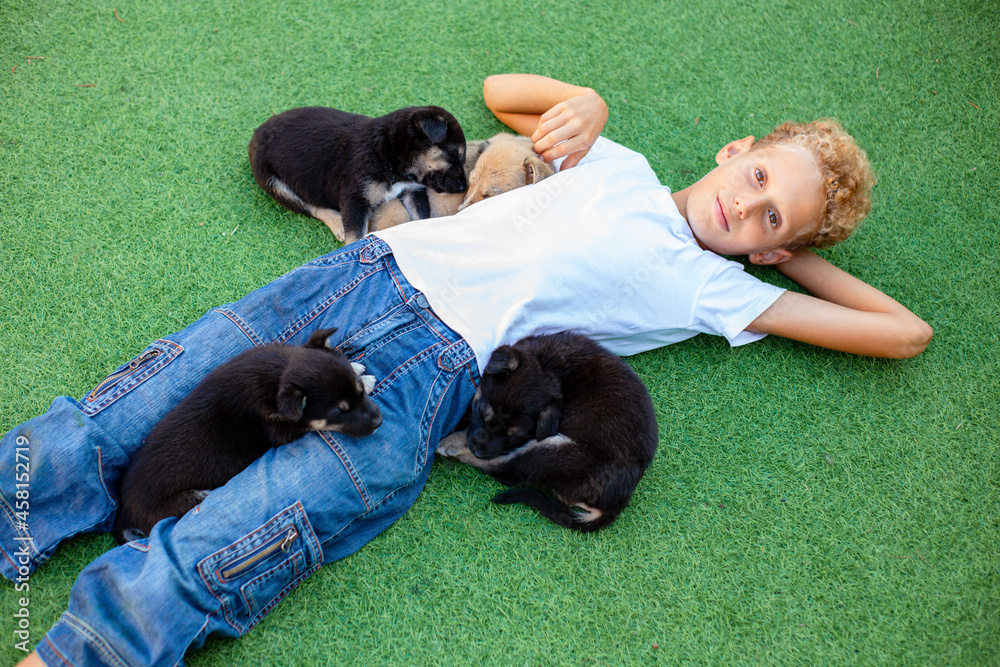 boy lies on the green grass with three puppies boy lies on the green grass with three puppies