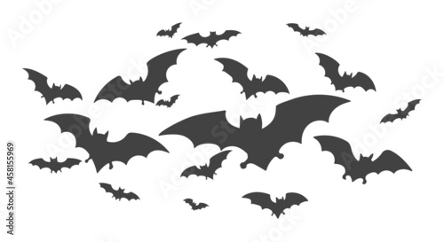 Horrific bat flock