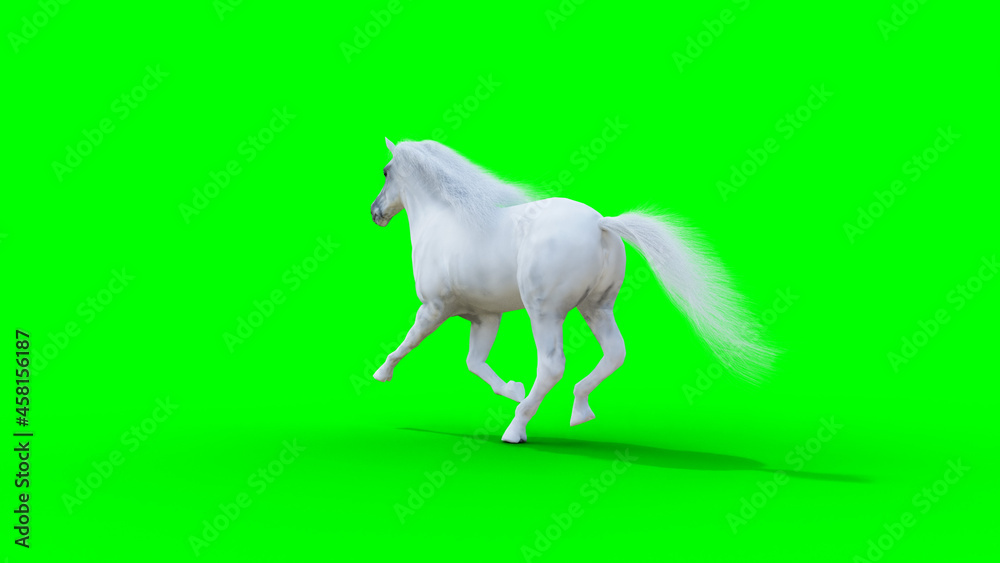 Obraz premium Runing white horse. Green screen. 3d rendering.