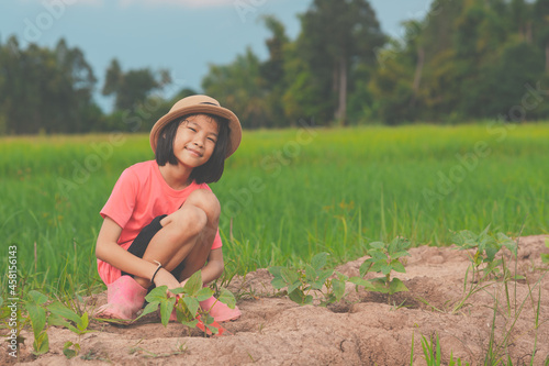 Children and family planting organic vegetable on rice field background