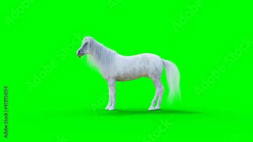 Standing white horse. Green screen. 3d rendering.