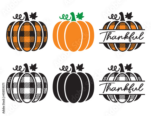 Set of cute decorative pumpkins with plaid pattern. Pumpkin split frame vector illustration.