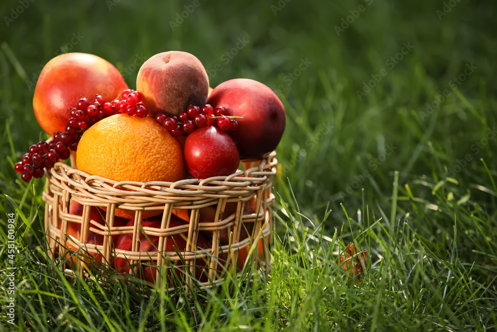 Wicker basket with fresh fruits on grass Wicker basket with fresh fruits on grass