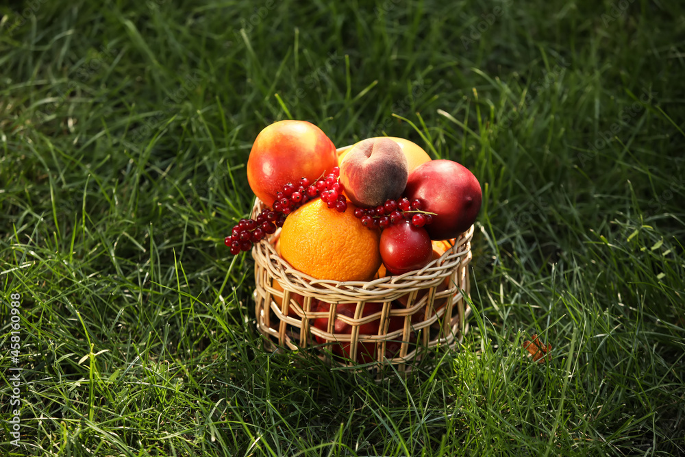 Wicker basket with fresh fruits on grass Wicker basket with fresh fruits on grass