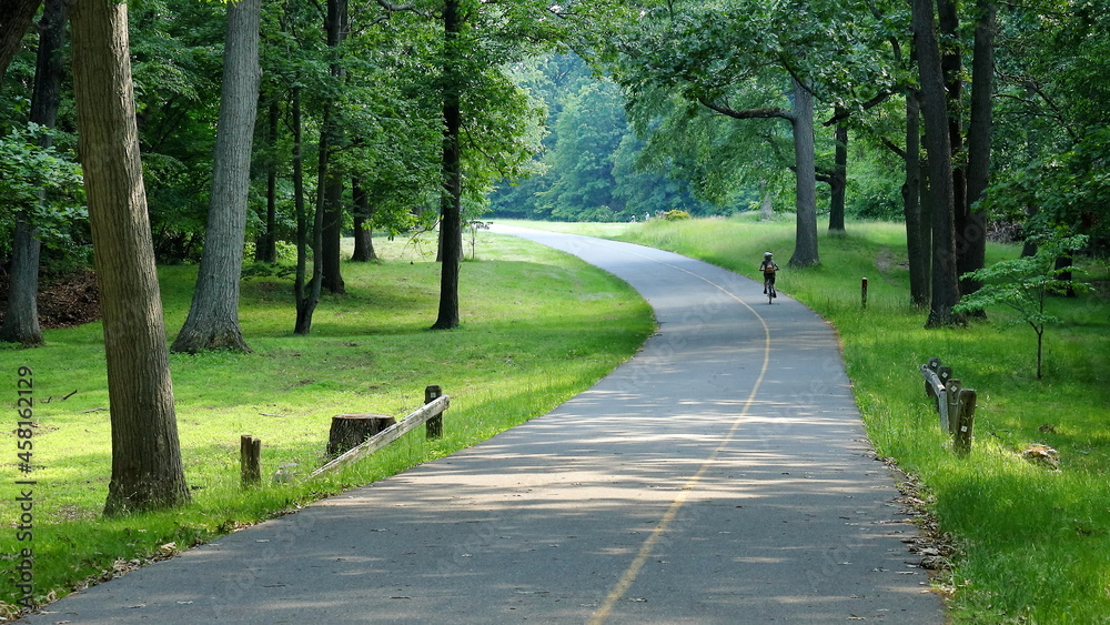 Fototapeta premium Ride in the park