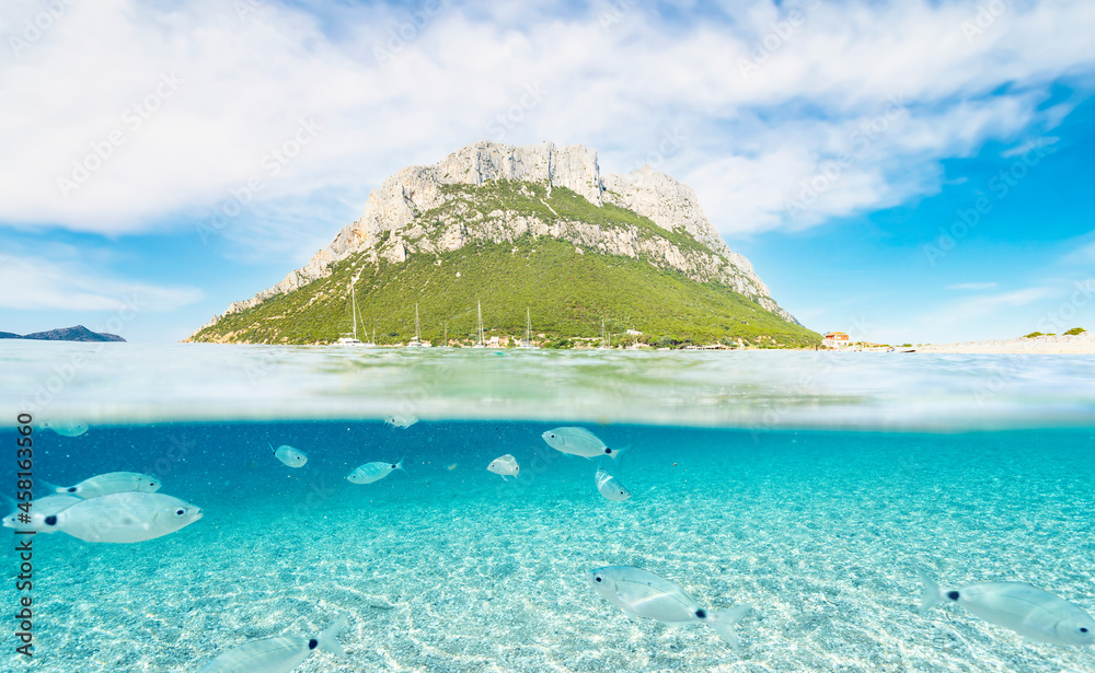 Split shot, over-under photo. Stunning view of some fish swimming under the waterline in the foreground with Tavolara Island over the water surface in the distance. Sardinia, Italy.