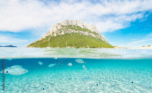Obraz na płótnie Split shot, over-under photo. Stunning view of some fish swimming under the waterline in the foreground with Tavolara Island over the water surface in the distance. Sardinia, Italy. w salonie