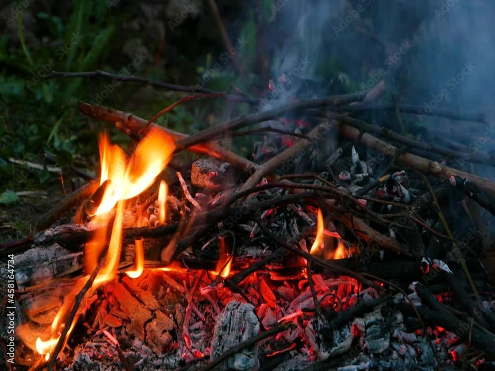 bonfire of young tree branches burns against a background of green grass. bonfire of young tree branches burns against a background of green grass.