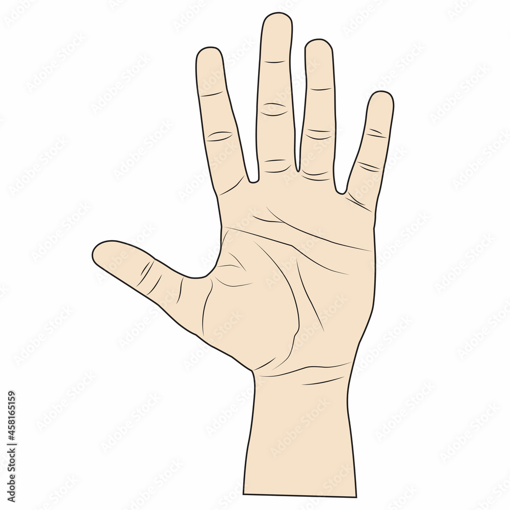 flat of the hand vector illustration flat of the hand vector illustration