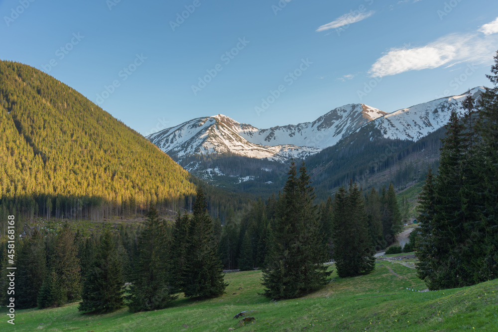 beautiful view of the snow-capped mountains from the spring meadows covered with flowers and grass