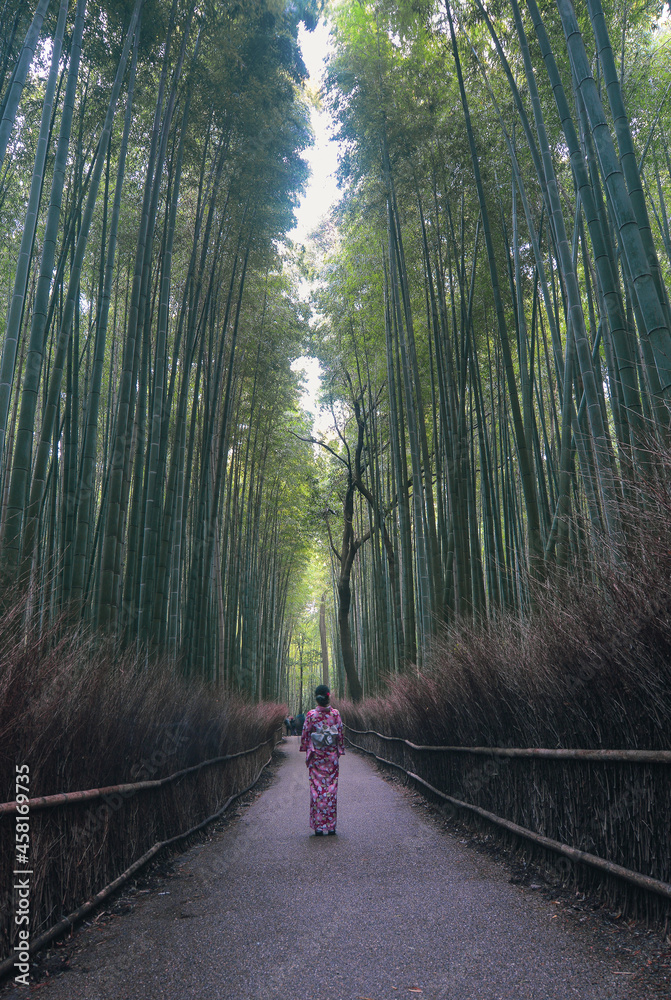Fototapeta premium Arashiyama Bamboo Grove in Kyoto, Japan