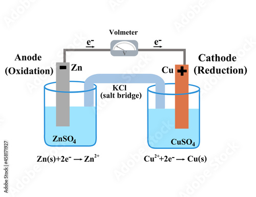 Voltaic galvanic cell or daniell cell.Redox reaction.Oxidation and reduction.Simple electrochemical.Salt bridge voltmeter, anode and cathode.Infographic for chemistry science.Vector illustration. photo