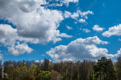 Green treetops and beautiful cloudy blue sky. Forest landscape on blue cloudy sky background