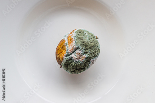 Spoiled rotting lemon fruit with mold on a white plate. Green mold on citrus fruits. White green fungus mold on yellow lemon, close-up. The fruit is spoiled due to too long storage. view from above