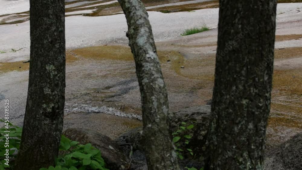 Clear water runs over stone slabs, seen through the trees from the edge of a forest. Clear water runs over stone slabs, seen through the trees from the edge of a forest.