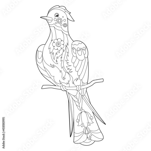 Contour linear illustration for coloring book with decorative paradise bird. Beautiful bird,  anti stress picture. Line art design for adult or kids  in zen-tangle style, tatoo and coloring page.