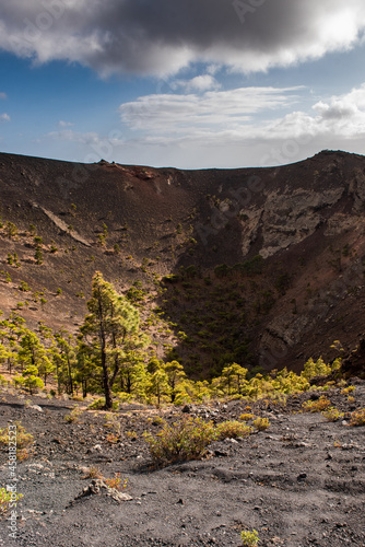 Mouth of some of the volcanoes, with ancient lava and pine trees before eruption in Cumbre Vieja Natural Park, Canary Islands, Spain