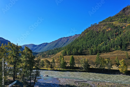 Fototapeta Naklejka Na Ścianę i Meble -  mountain altai river top view drone, landscape altai tourism top view
