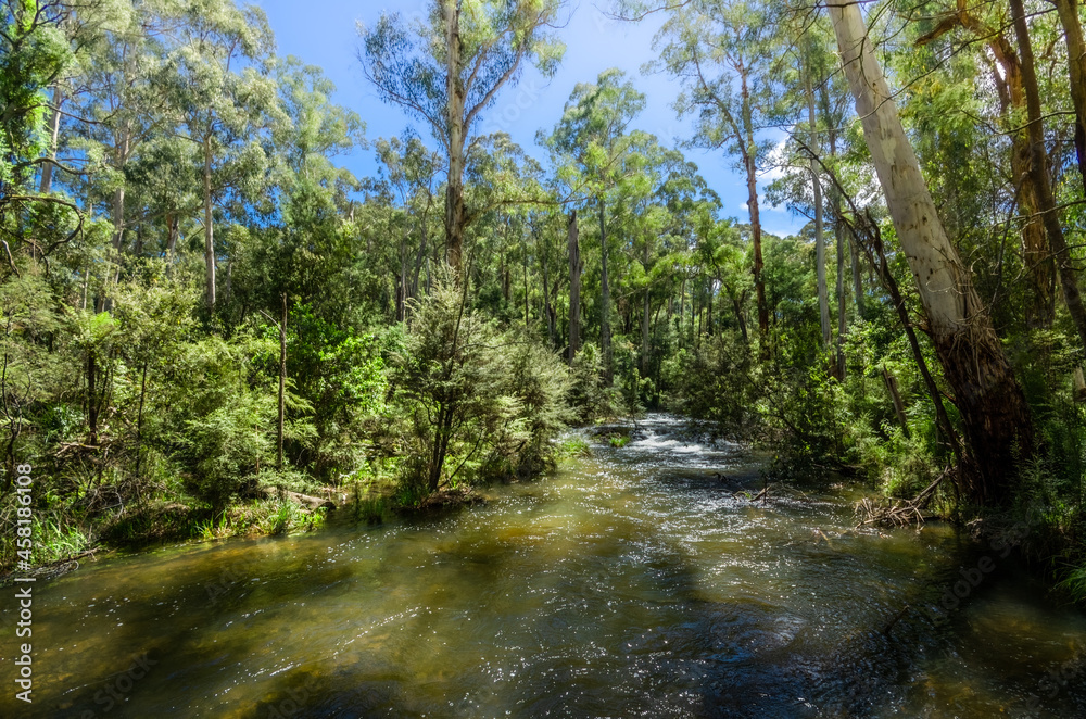 Watts River High Watts River High