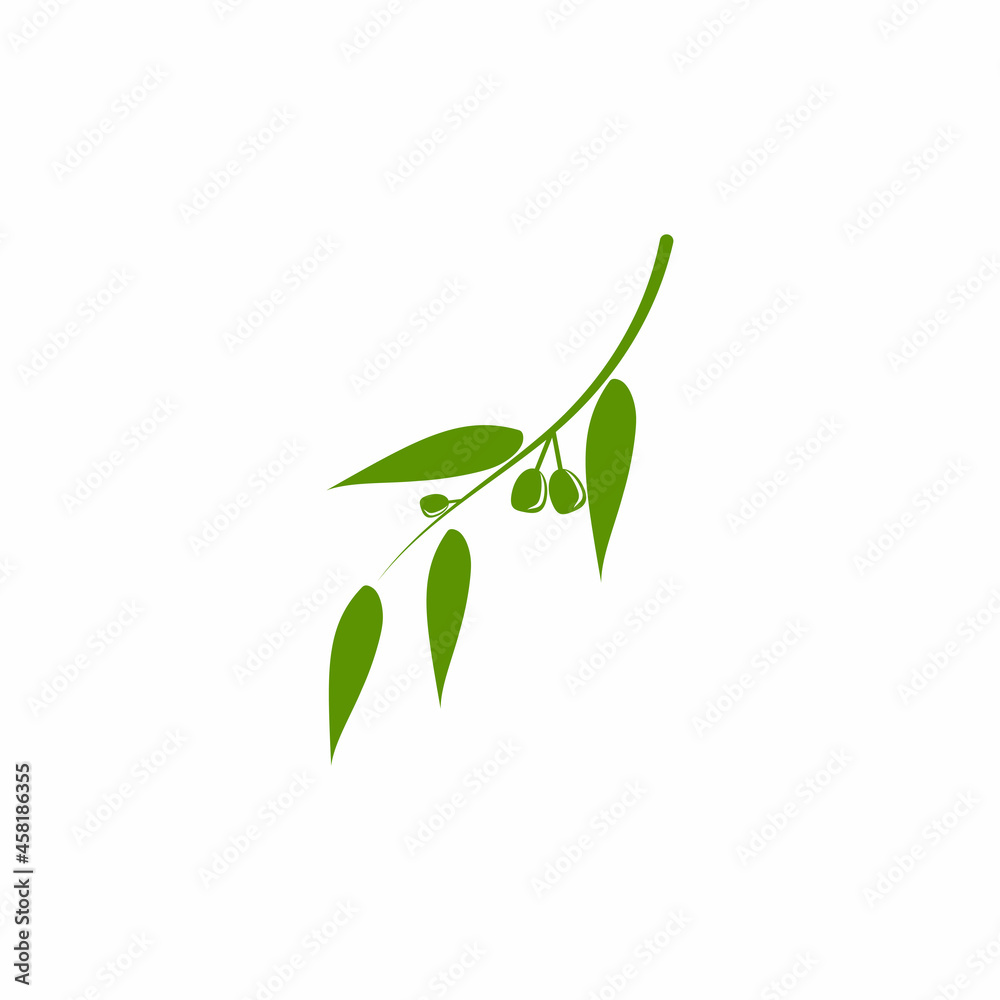 Obraz premium Eucalyptus leaves logo vector template design illustration