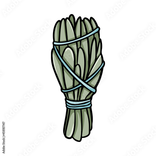 Sage smudge stick with threads hand-drawn doodle isolated icon. Vector stock plant leaves image. White sage herb bundle