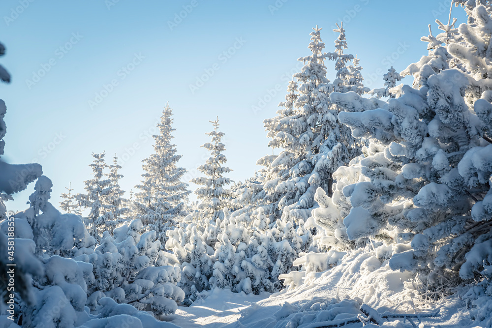 Festive Christmas mood in the mountains. Beautiful cold day in Western Tatras. Winter wonderland in Poland. Selective focus on the woods, blurred background. Festive Christmas mood in the mountains. Beautiful cold day in Western Tatras. Winter wonderland in Poland. Selective focus on the woods, blurred background.