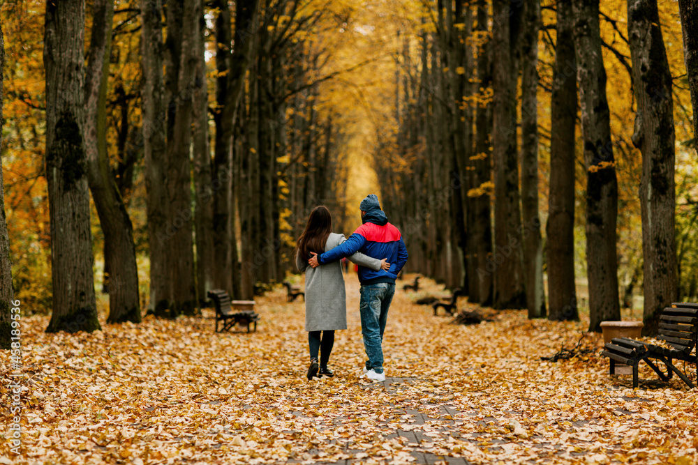 A guy and a girl are walking along the alley of the park in autumn. A romantic date, a walk, family time. Rear view, space for text A guy and a girl are walking along the alley of the park in autumn. A romantic date, a walk, family time. Rear view, space for text