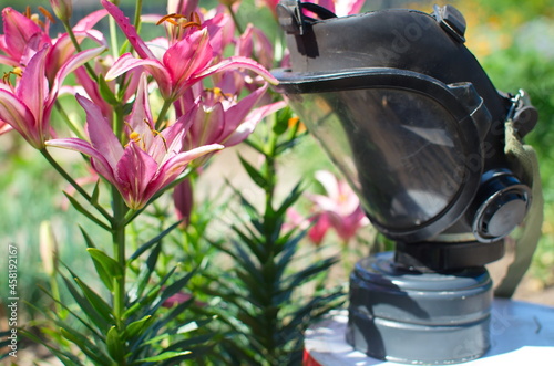 Ecology, gas mask standing next to lily flowers