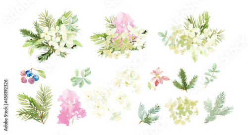 A set of winter New Year illustrations. Hydrangea flowers  spruce twigs  blueberries  painted in watercolor.