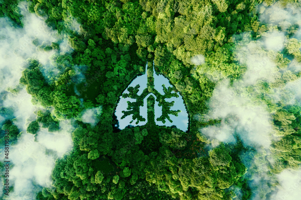 A metaphorical picture of the lungs of planet earth. An icon in the form of a lung-shaped pond in the middle of a wild, pristine and untouched forest. 3d rendering. - obrazy, fototapety, plakaty 