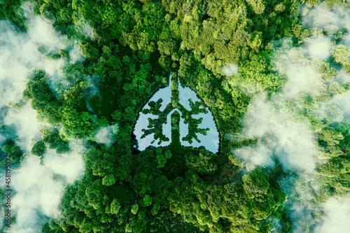 A metaphorical picture of the lungs of planet earth. An icon in the form of a lung-shaped pond in the middle of a wild, pristine and untouched forest. 3d rendering.
