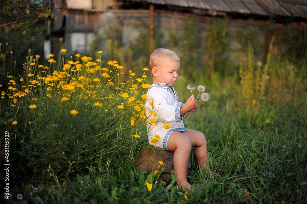 a small chubby baby with dandelions and daisies in the field a small chubby baby with dandelions and daisies in the field