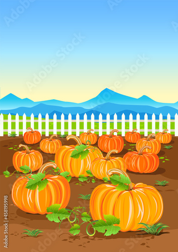 Vector illustration of a harvest pumpkin in a vegetable garden near a white fence. Happy Thanksgiving Day. Bright illustration for a postcard, congratulations, flyer or poster
