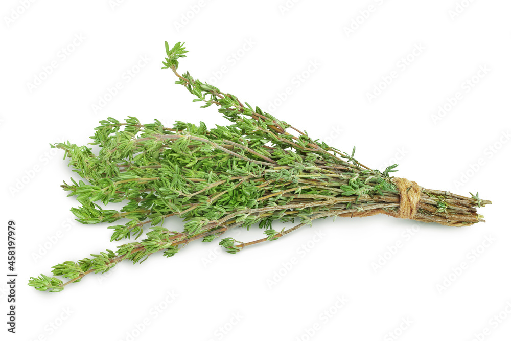 fresh thyme isolated on a white background with clipping path and full depth of field fresh thyme isolated on a white background with clipping path and full depth of field